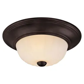 2-Light 11" Ceiling Light 2-Light 11" Ceiling Light