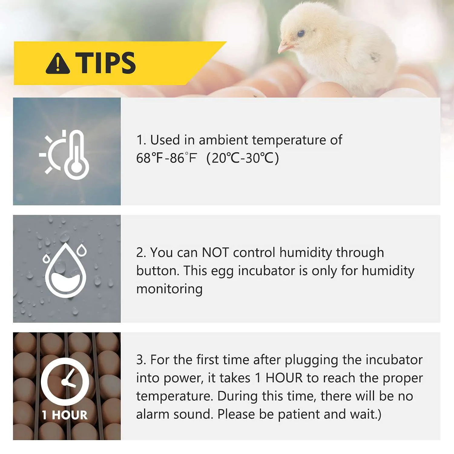 All-in-One Egg Incubator for Egg Hatching