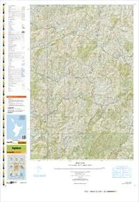 BG42 Ngatapa Topographic Map by Land Information New Zealand (2011)