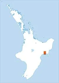 BH41 Wairoa Topographic Map by Land Information New Zealand (2009)