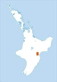 BJ38 Te Pohue Topographic Map by Land Information New Zealand (2013)