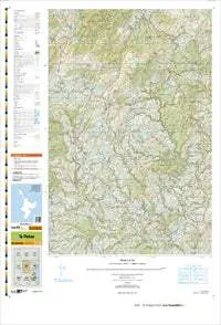 BJ38 Te Pohue Topographic Map by Land Information New Zealand (2013)