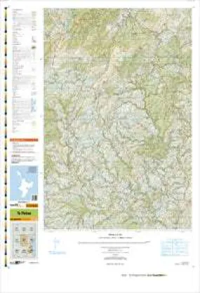BJ38 Te Pohue Topographic Map by Land Information New Zealand (2013)