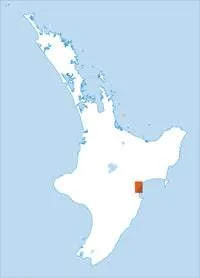BJ39 Whirinaki Topographic Map by Land Information New Zealand (2011)