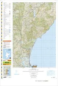 BJ39 Whirinaki Topographic Map by Land Information New Zealand (2011)