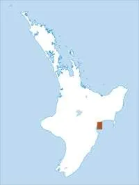 BJ40 & BJ39 Waipatiki Beach Topographic Map by Land Information New Zealand (2009)
