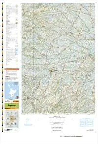 BL37 Ongaonga Topographic Map by Land Information New Zealand (2009)