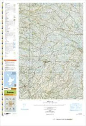 BL37 Ongaonga Topographic Map by Land Information New Zealand (2009)