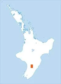 BM35 Woodville Topographic Map by Land Information New Zealand (2009)