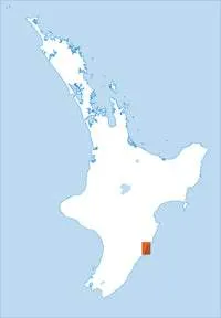 BM38 Porangahau Topographic Map by Land Information New Zealand (2009)