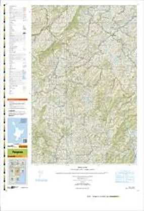 BN36 Pongaroa Topographic Map by Land Information New Zealand (2009)