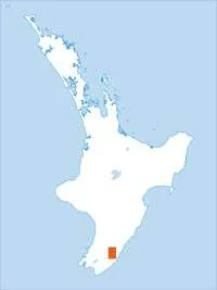 BP35 Bideford Topographic Map by Land Information New Zealand (2009)