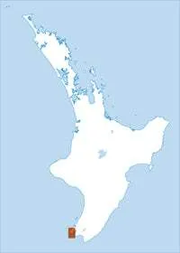 BQ31 Wellington Topographic Map by Land Information New Zealand (2012)