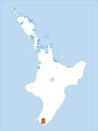 BQ33 Lake Wairarapa Topographic Map by Land Information New Zealand (2012)