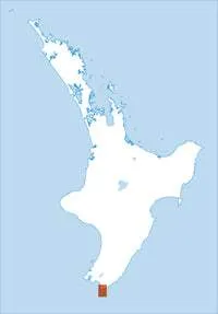 BR33 Ngawi Topographic Map by Land Information New Zealand (2012)