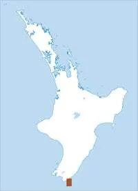 BR34 Manurewa Point Topographic Map by Land Information New Zealand (2012)