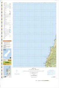 BS19 Punakaiki Topographic Map by Land Information New Zealand (2009)