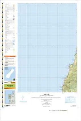 BS19 Punakaiki Topographic Map by Land Information New Zealand (2009)