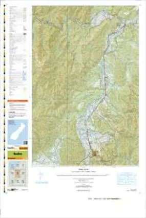 BS21 Reefton Topographic Map by Land Information New Zealand (2010)