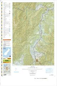 BS21 Reefton Topographic Map by Land Information New Zealand (2010)