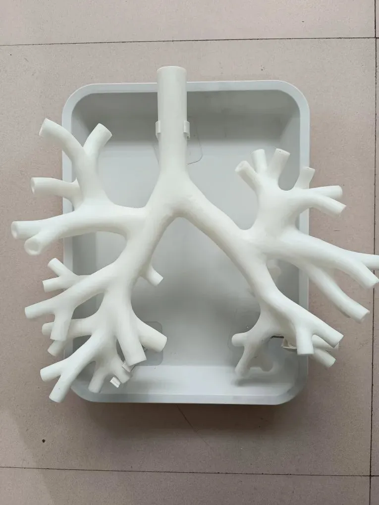 Fiberoptic Bronchial Model Bronchoscopy Training Model Fourth Level Bronchial Magnification Version