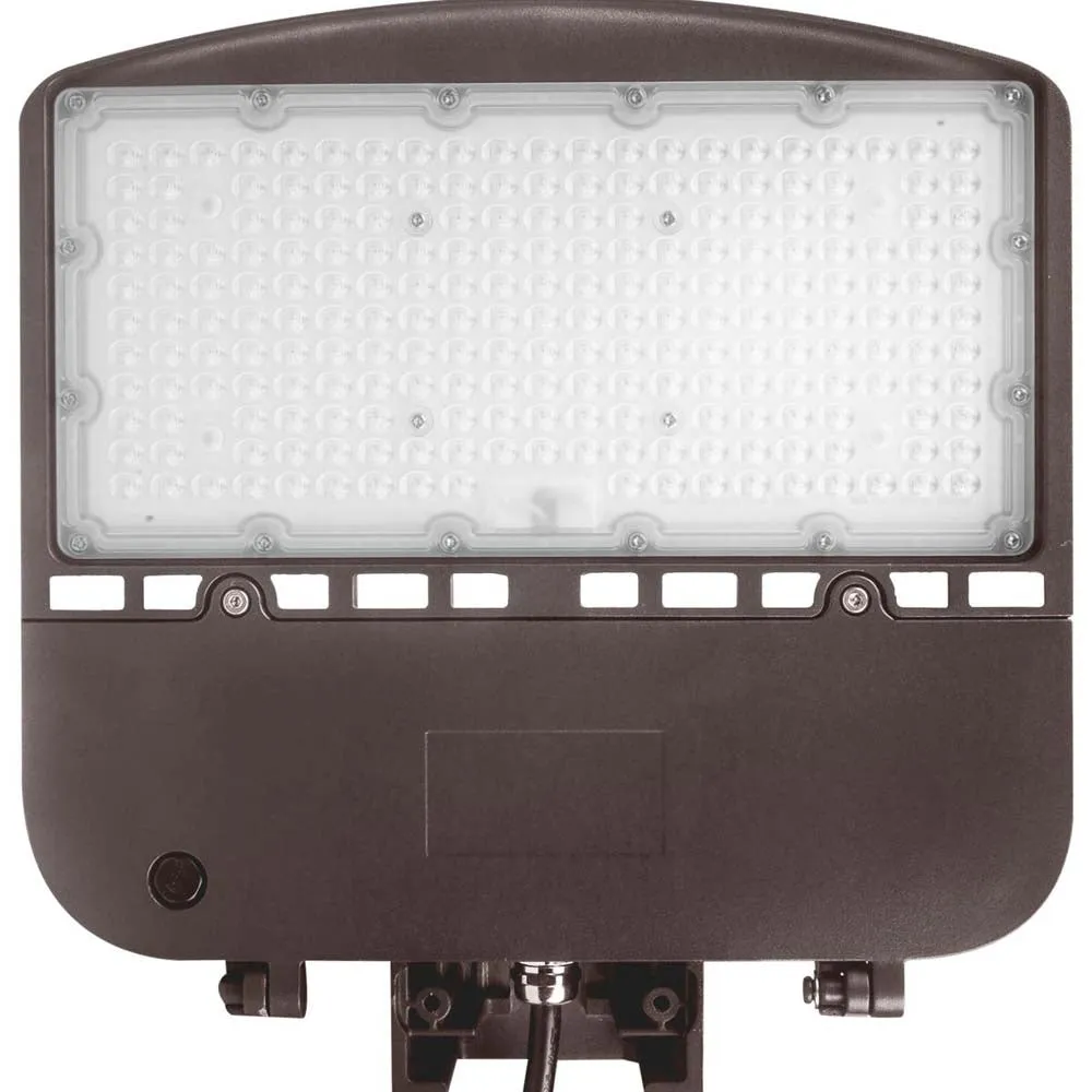 LED Area Light Type III 100W Bronze Finish 5000K 277-480V