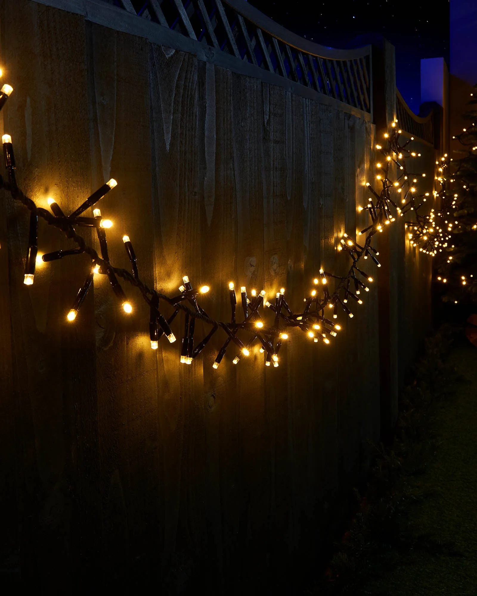 LINK PRO LED Cluster Lights, Black Cable, Warm White