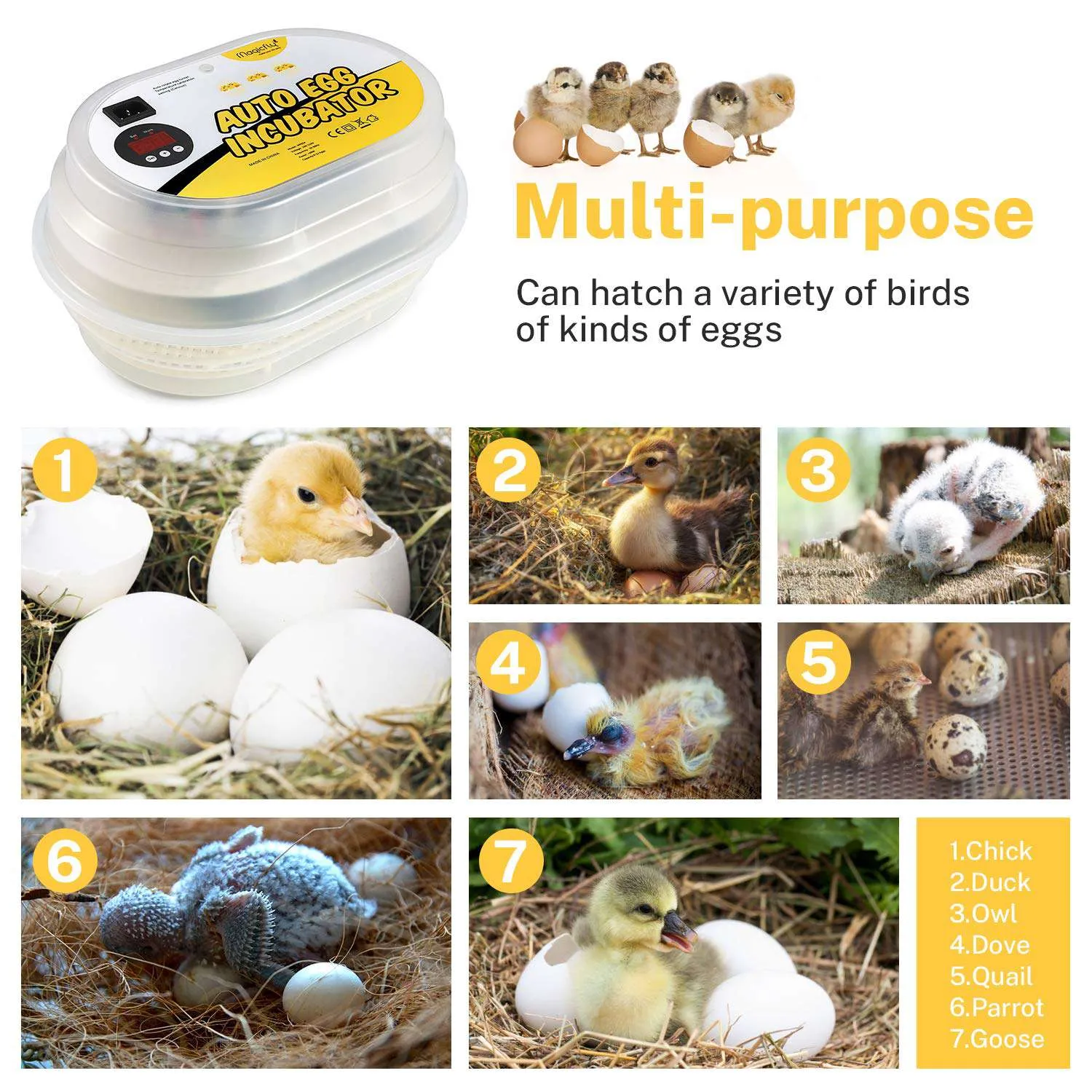 Mini Egg Incubators for Hatching Eggs