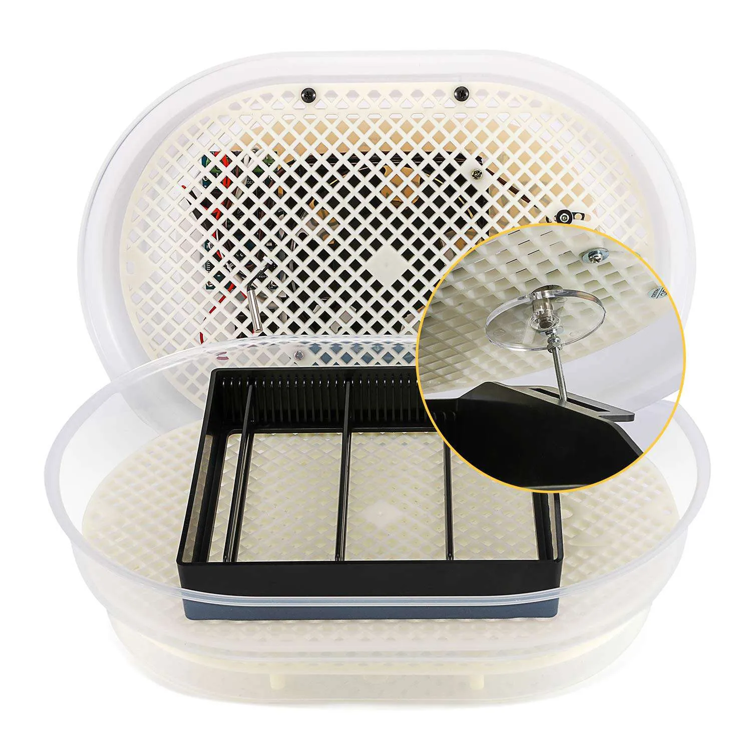 Mini Egg Incubators for Hatching Eggs