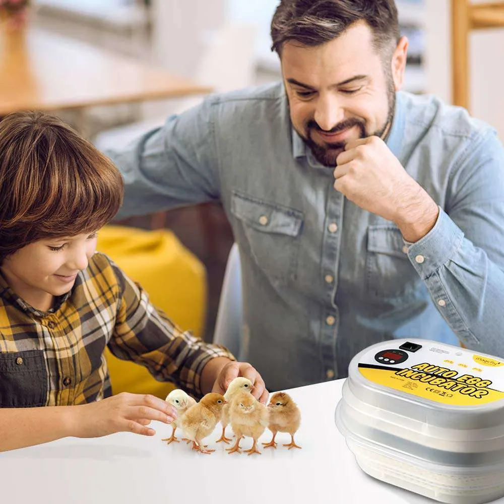 Mini Egg Incubators for Hatching Eggs