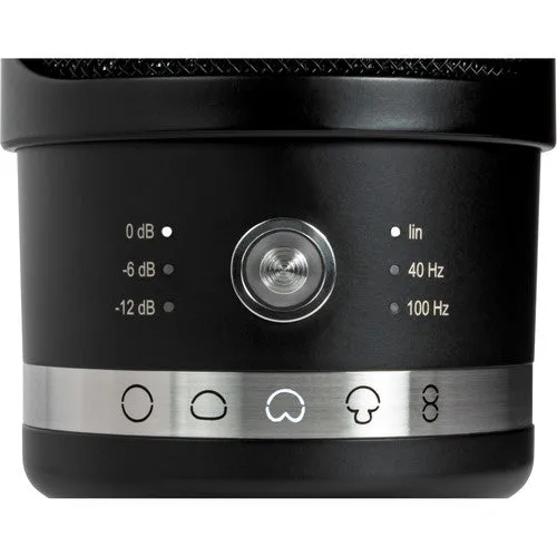 Neumann TLM 107 Multi-Pattern Large Diaphragm Condenser Microphone (Black)