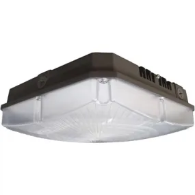 Nuvo 65-146 10" 60W LED Canopy Light, 4000K